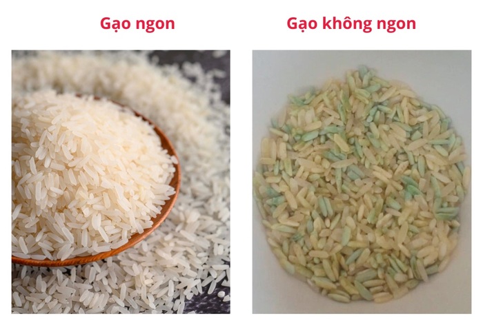 Tránh lựa chọn những loại gạo ngả vàng, xanh và có hiện tượng nấm mốc