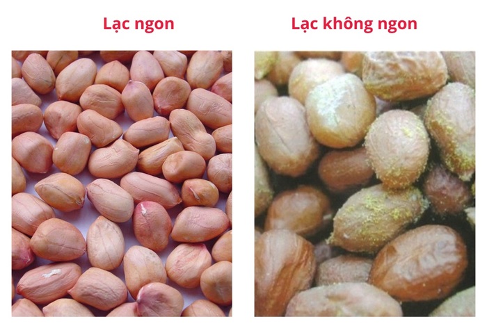 Bạn cần chọn hạt lạc to tròn đẹp mắt, tránh hạt lạc mốc ẩm