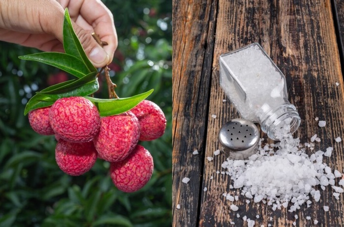 Nguyên liệu chuẩn bị để làm món vải sấy rất đơn giản 