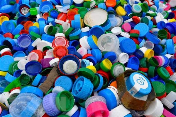 Bí kíp chọp hộp bảo quản thực phẩm đúng cách và đảm bảo an toàn  2