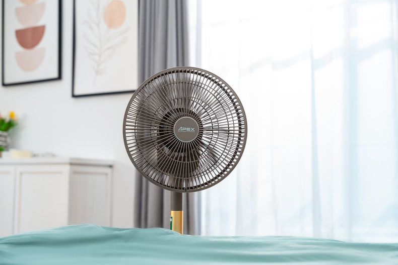 Quạt cây có thể điều chỉnh hướng gió, cung cấp luồng gió trực tiếp và mạnh mẽ