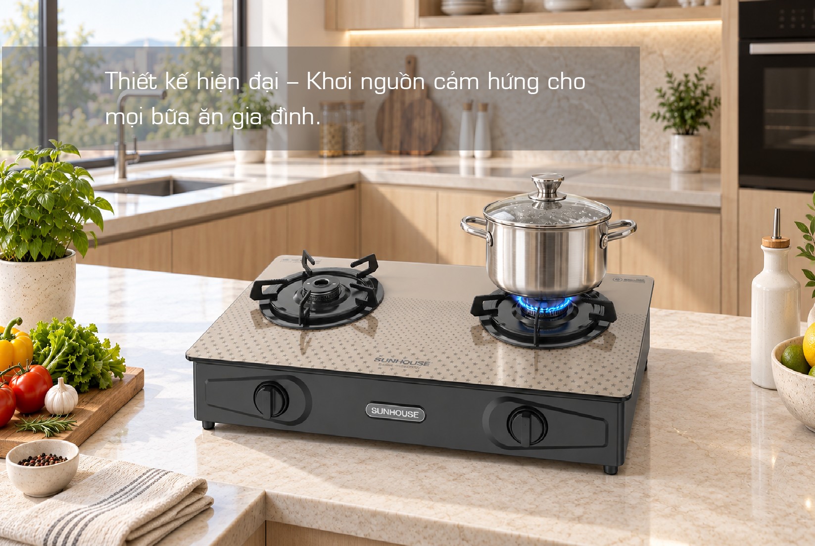 SHB32172-V-15.jpg