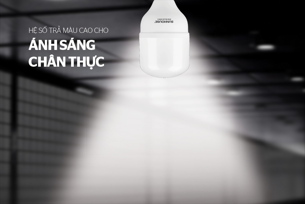 BÓNG ĐÈN LED BULB SUNHOUSE SPEC SHE-BULB-30W-S 6