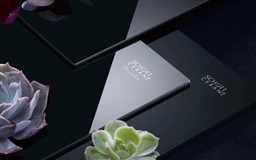 mặt kính bếp từ đôi