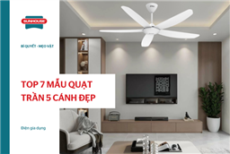 TOP 7 mẫu quạt trần 5 cánh đẹp, vận hành êm