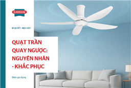 Quạt trần quay ngược: Nguyên nhân và khắc phục hiện quả
