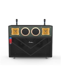 LOA KÉO ĐÔI KARAOKE APEX APA6485