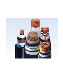 Cáp ngầm DSTA 3P - 12.7/22(24)kV