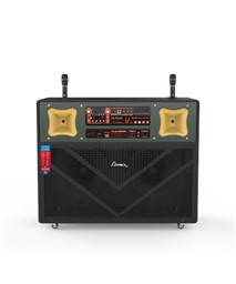 LOA KÉO ĐÔI KARAOKE APEX APA6484