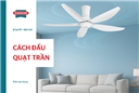 Hướng dẫn cách đấu quạt trần đơn giản, chi tiết