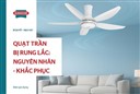 Quạt trần bị lắc: Nguyên nhân và cách khắc phục an toàn