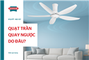 Nguyên nhân và khắc phục hiện quả quạt trần quay ngược