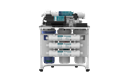 2(225).png